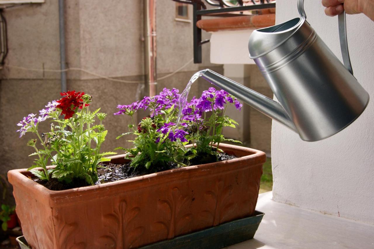 Un Coccodrillo A Frassino Bed & Breakfast Calizzano Exterior foto